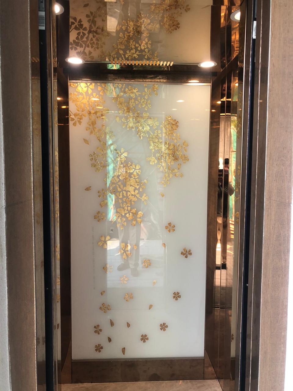 SS DESIGN GLASS CABIN-image